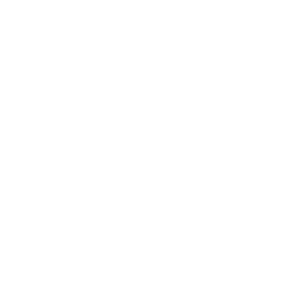 Regularize Consultoria